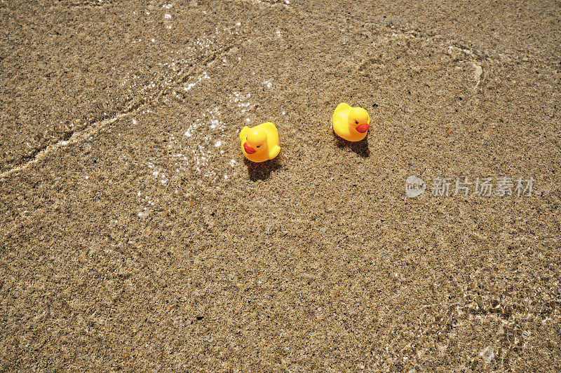 海滩假日，阳光明媚的一天，两只橡皮鸭漂浮在康沃尔郡Pedn Vounder海滩清澈的浅海上。